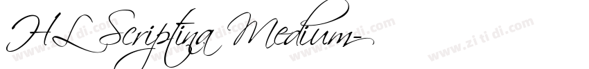 HL Scriptina Medium字体转换